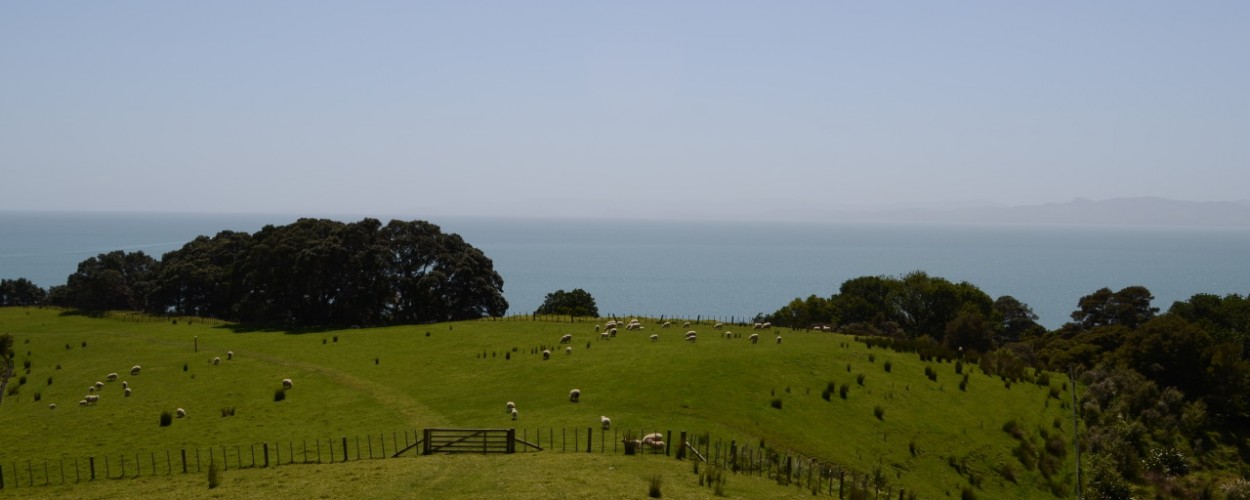 Viviendo en Nueva Zelanda – Un paraíso inesperado